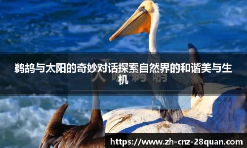 鹈鸪与太阳的奇妙对话探索自然界的和谐美与生机